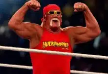 Analysis: Wrestling with the dueling legacies of Terry Bollea and Hulk Hogan