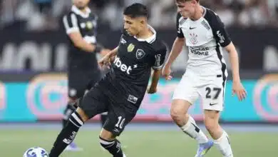 Botafogo precisa apostar na dobradinha que deve garantir títulos