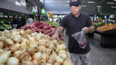 Cesta básica de julho registra queda de 4,54% em Navegantes