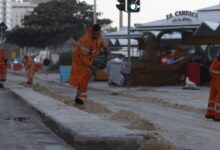 Após ondas gigantes, cinco pinguins aparecem mortos na orla do Rio