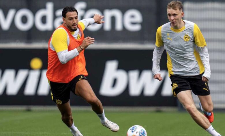 Borussia Dortmund na pré-temporada (Foto: Reprodução, X, Borussia)
