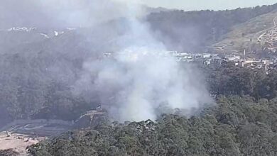 A imagem mostra uma área florestal com fumaça se elevando entre as árvores. Ao fundo, é possível ver uma colina e algumas construções. A fumaça é visível no centro da imagem, indicando um possível incêndio ou queima controlada.