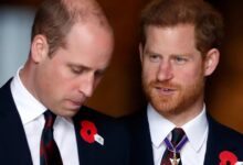 Princes William and Harry's cousin, 20, found dead with firearm nearby to her