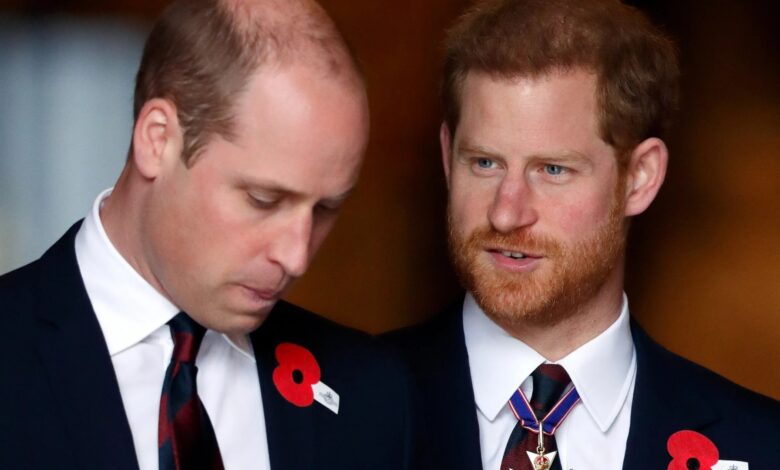 Princes William and Harry's cousin, 20, found dead with firearm nearby to her