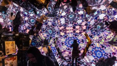 Exposição de Raul Seixas no MIS maximiza cantor para levá-lo além dos raulseixistas de carteirinha