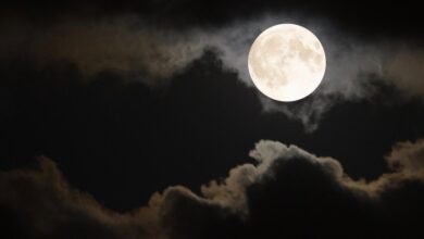 Qual a fase da Lua nesta sexta (11)? Veja o calendário lunar de julho