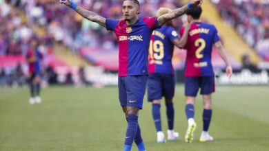 Fenerbahçe will pay the €40M