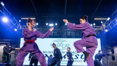 Fim de semana de férias em SP tem Festival do Japão, festa julina e mais; veja dicas de passeio