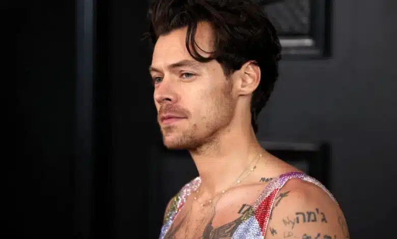 Harry Styles lança linha de vibradores e lubrificantes - 24/07/2025 - Celebridades