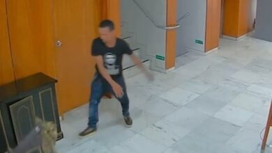 Moraes dá 15 dias para a PGR se pronunciar sobre juiz que soltou condenado pelo 8 de Janeiro