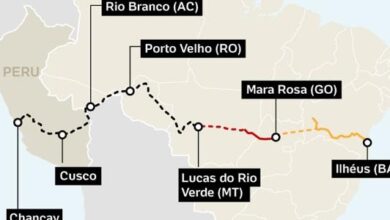 Brasil e China firmaram parceria para estudos sobre proposta de ferrovia