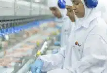 BRF