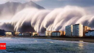 Mega-tsunami warning: Could a 1,000-foot tsunami hit the US Pacific Coast? Scientist raises alarm
