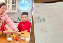 Dylan Dreyer Shares Grocery List With Just 2 Items