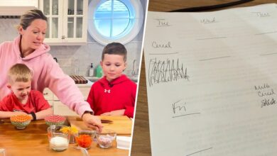 Dylan Dreyer Shares Grocery List With Just 2 Items