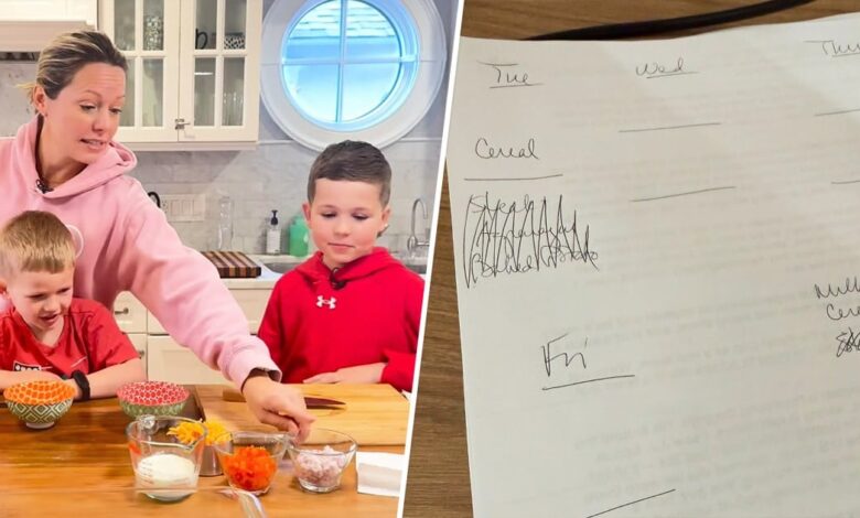 Dylan Dreyer Shares Grocery List With Just 2 Items