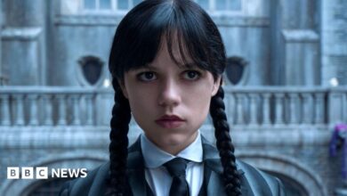 Jenna Ortega seen in Netflix