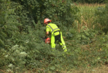 Behind the Scenes with NYSEG’s Vegetation Management team