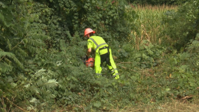 Behind the Scenes with NYSEG’s Vegetation Management team
