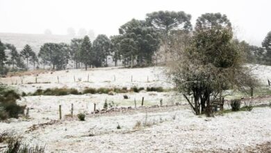 A imagem mostra uma paisagem rural coberta de neve. Há árvores altas ao fundo, com um campo aberto à frente, onde a neve se acumula no solo. Algumas cercas de madeira estão visíveis, e a vegetação é esparsa, com um arbusto solitário em primeiro plano. O céu está nublado, contribuindo para a atmosfera fria e invernal da cena.