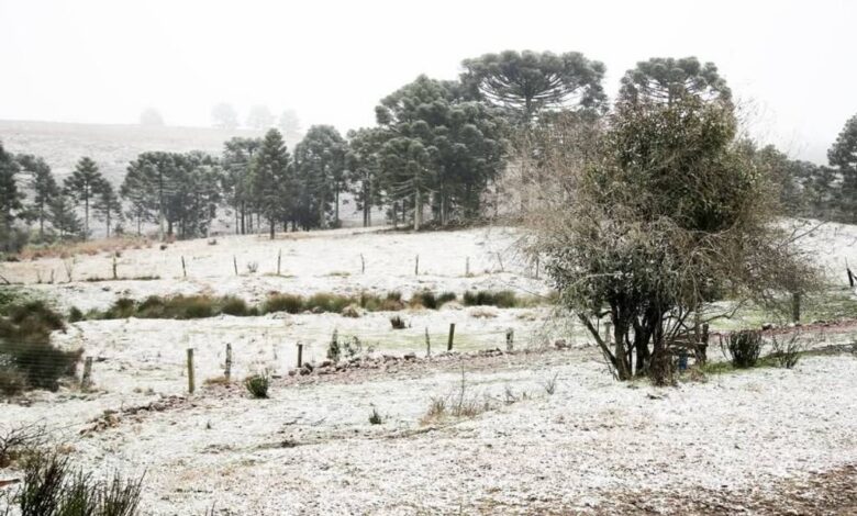A imagem mostra uma paisagem rural coberta de neve. Há árvores altas ao fundo, com um campo aberto à frente, onde a neve se acumula no solo. Algumas cercas de madeira estão visíveis, e a vegetação é esparsa, com um arbusto solitário em primeiro plano. O céu está nublado, contribuindo para a atmosfera fria e invernal da cena.