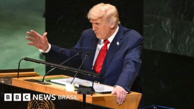 Lula e Trump: presidente brasileiro usa tática de aproximação com líder dos EUA, mas não vai de 'peito aberto' para reunião, diz especialista