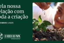 Papa: descobrir a presença de Deus na criação para sermos responsáveis em protegê-la