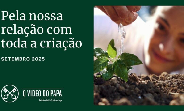 Papa: descobrir a presença de Deus na criação para sermos responsáveis em protegê-la