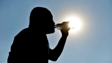 evite álcool, café e exercícios