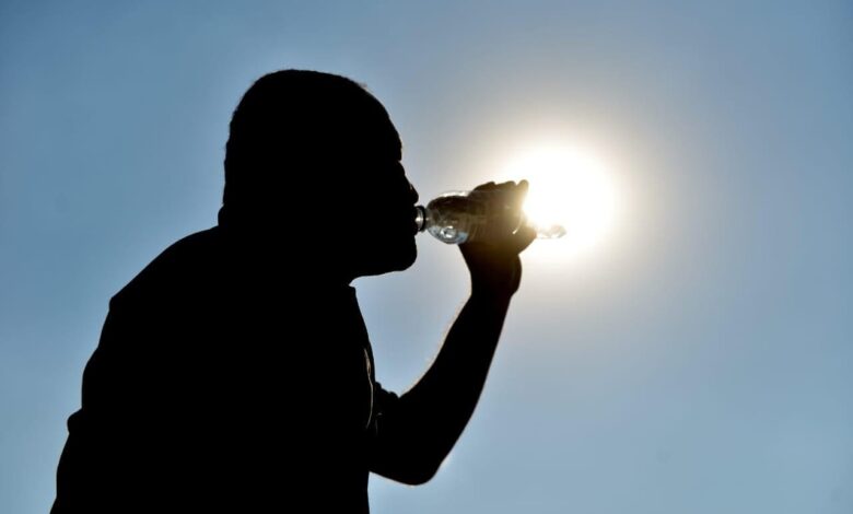 evite álcool, café e exercícios