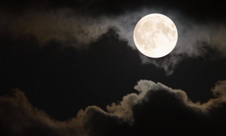 Qual a fase da Lua neste domingo (12)? Veja o calendário lunar de outubro