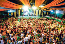 Fusões de sambas no Salgueiro, na Beija-Flor e na Imperatriz dividem opiniões entre amantes do carnaval