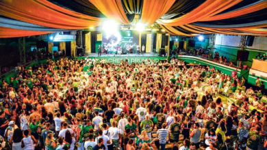 Fusões de sambas no Salgueiro, na Beija-Flor e na Imperatriz dividem opiniões entre amantes do carnaval