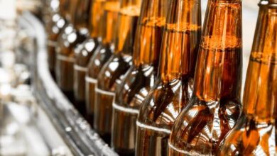 Should Investors Revisit Heineken After Earnings Recovery and Strong Cash Flow Outlook in 2025?
