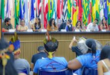 MDS recebe demandas de povos indígenas para aprimorar Política Nacional de Assistência Social — Agência Gov