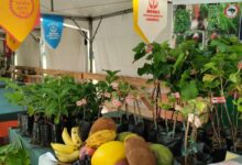 Viva Maria no Dia Mundial da Alimentação contra fome e desperdício