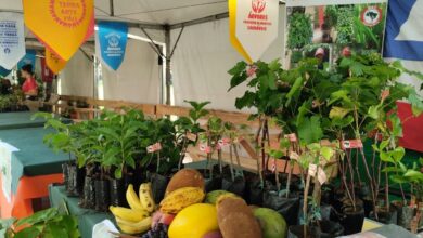 Viva Maria no Dia Mundial da Alimentação contra fome e desperdício