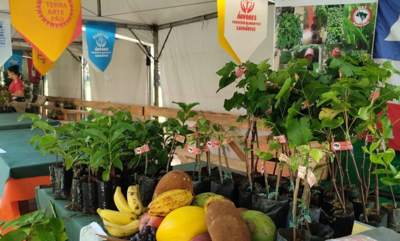 Viva Maria no Dia Mundial da Alimentação contra fome e desperdício