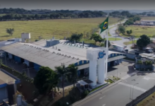 Anvisa manda recolher lotes de sabão Ypê após contaminação bacteriana