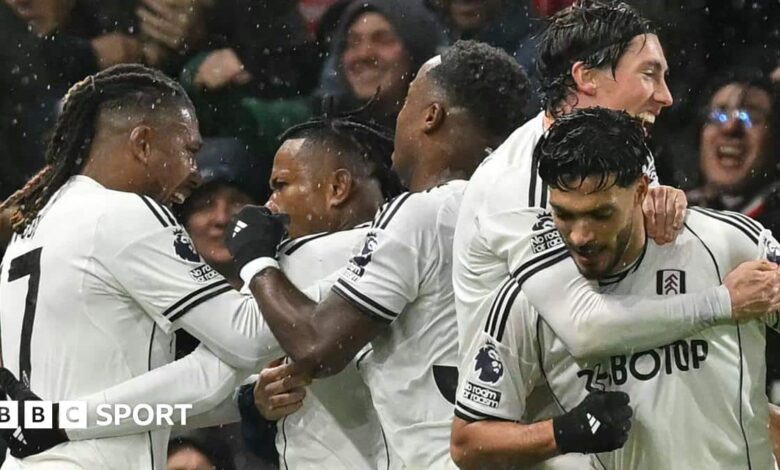 Fulham 1-0 Sunderland: Raul Jimenez scores late winner in Premier League