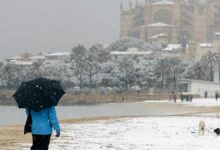 Schnee unter Palmen: Ist Mallorca ein guter Zufluchtsort im Winter?