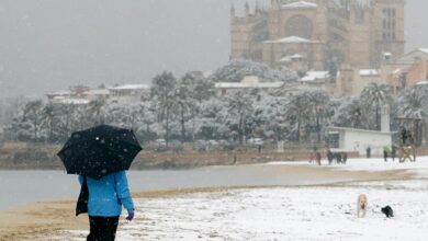 Schnee unter Palmen: Ist Mallorca ein guter Zufluchtsort im Winter?