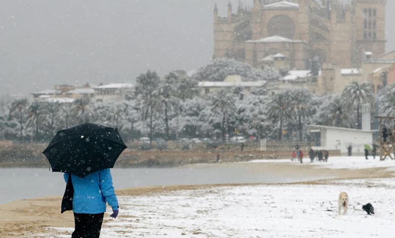 Schnee unter Palmen: Ist Mallorca ein guter Zufluchtsort im Winter?
