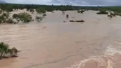 Agência Tocantins