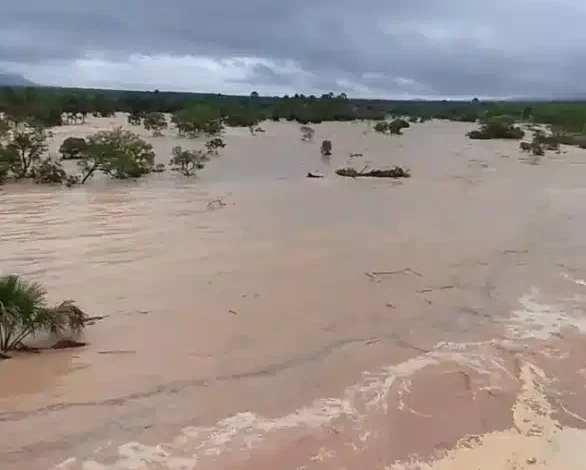 Agência Tocantins