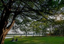 segunda começa com calor e céu nublado