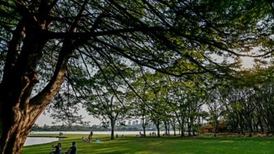 segunda começa com calor e céu nublado