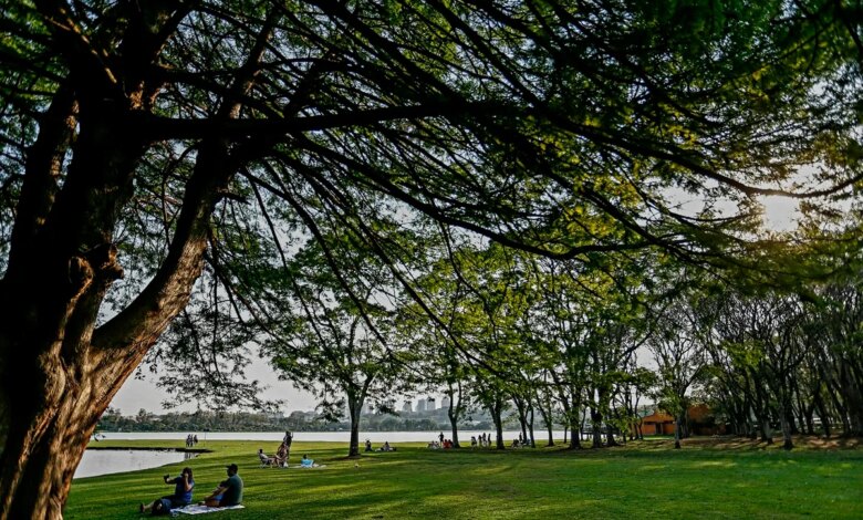 segunda começa com calor e céu nublado