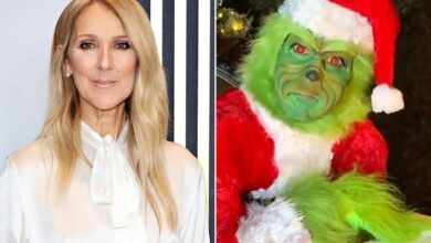 Céline Dion Dresses as the Grinch in Hilarious Holiday Video
