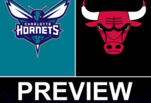 Charlotte Hornets vs Chicago Bulls Preview: Game 25